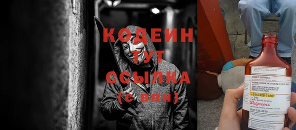 дурь Инсар