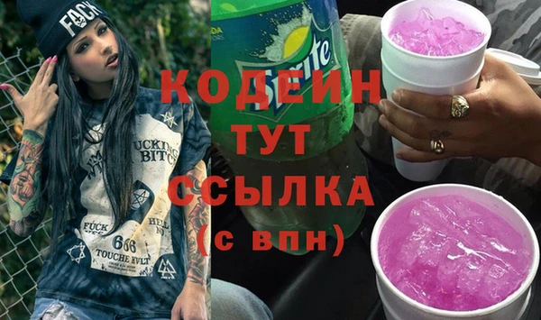 дурь Инсар