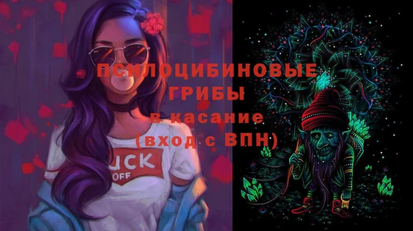 экстази Каменногорск