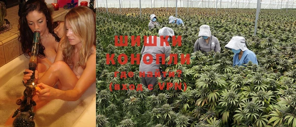 дурь Инсар