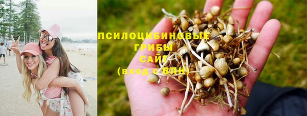 дурь Инсар